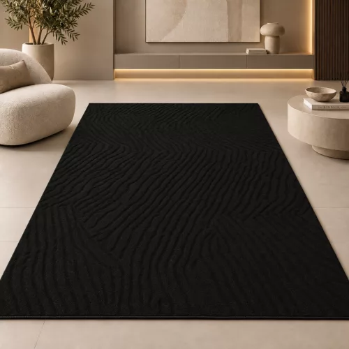 Veluxe  Organikus fekete modern szőnyeg 120x170 cm