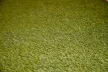 RoyalGreen 35mm műfű, 200cm